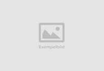 Produktpresentationer 10