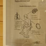 Sauna photo 14